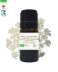 Huile essentielle Carotte sauvage bio