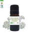 Huile essentielle d'Achillée millefeuille bio