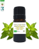 Huile essentielle Menthe Poivrée bio