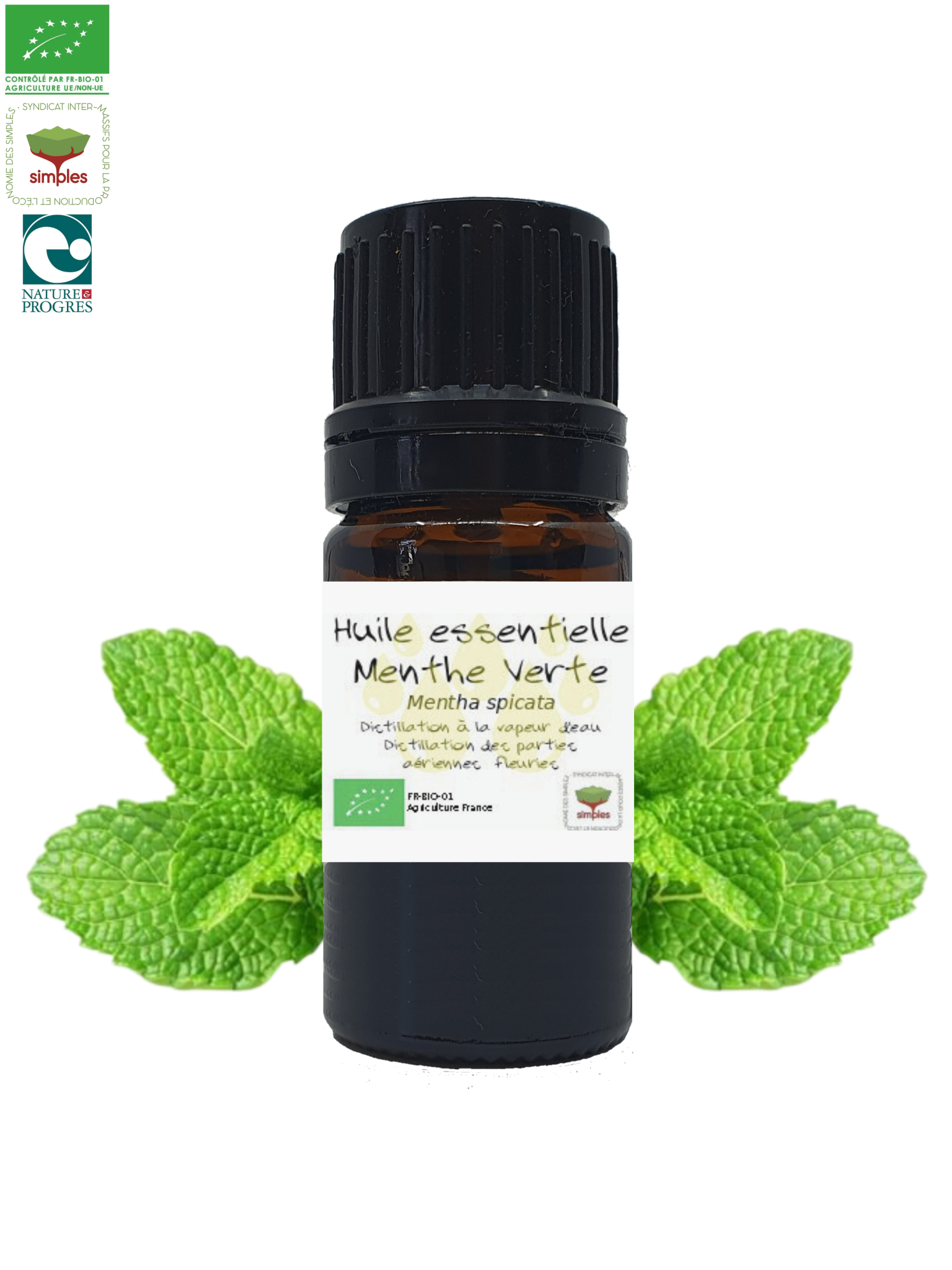 Huile essentielle Menthe Verte bio - Les Sens en Herbe