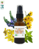 Huile de massage Muscles